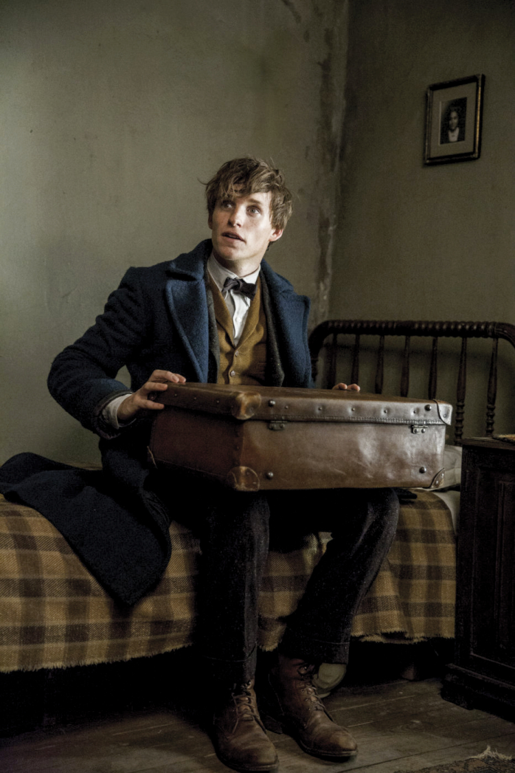 Harry Potter