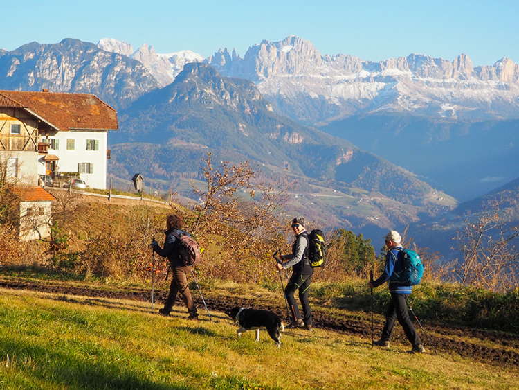 Rundwanderung durch die Rittner Weinberge