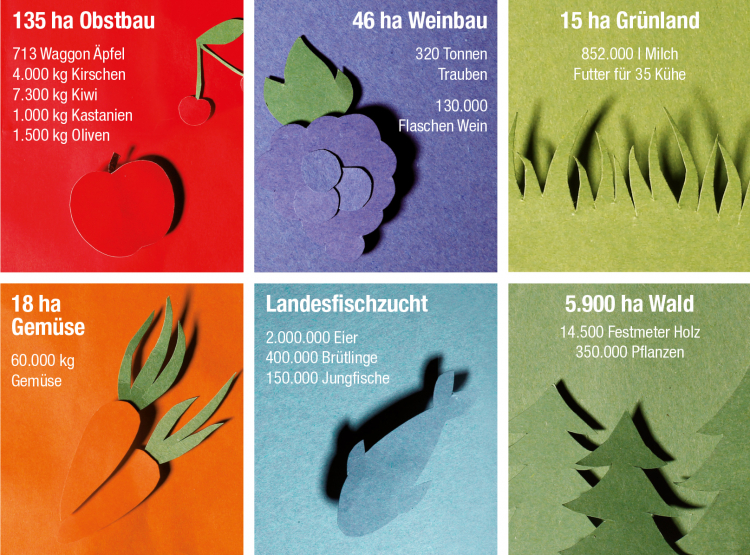 Infografik