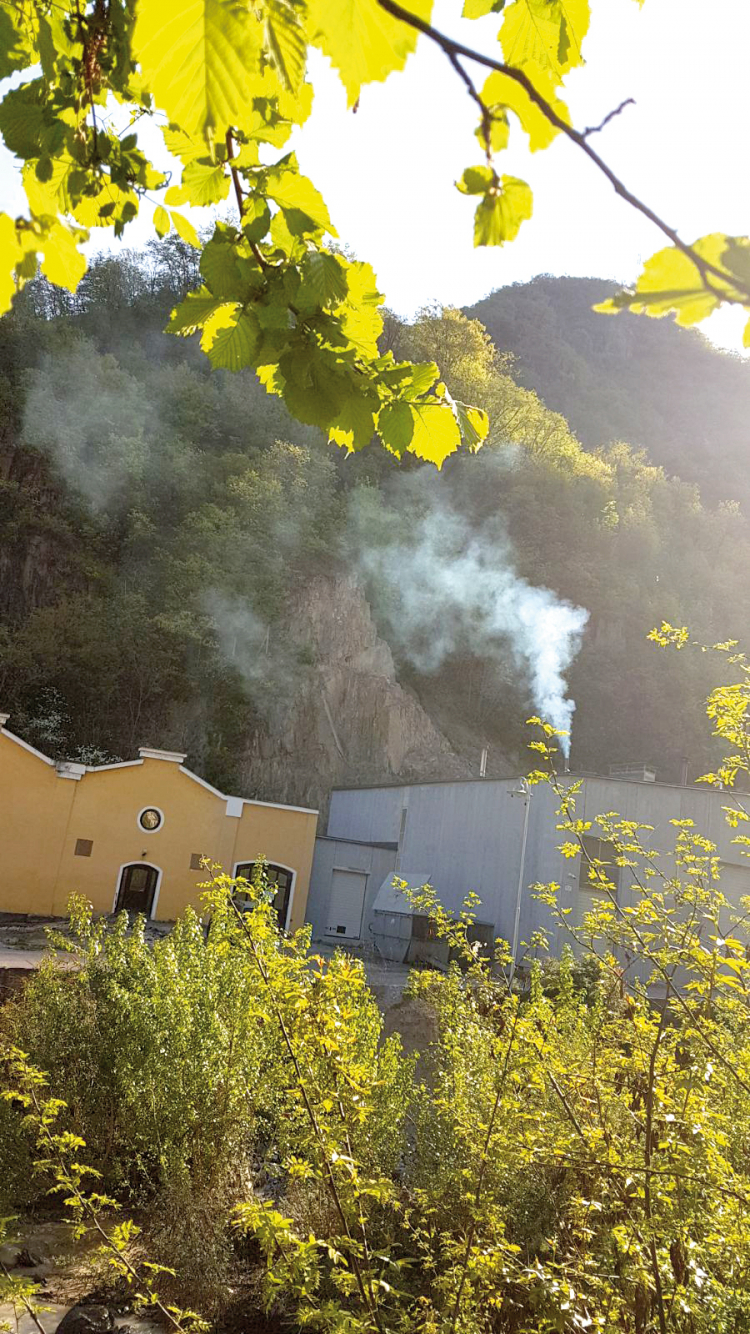 Speckproduzent Pramstrahler in Blumau: Zwei Holzvergasungsanlagen sorgen seit
Monaten für dicke Luft. Pramstrahler