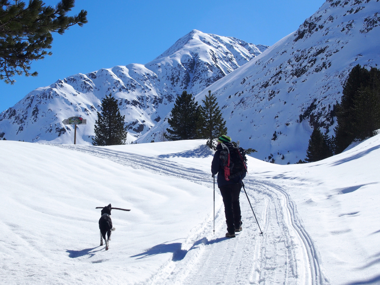 Wanderung vom Antholzer See