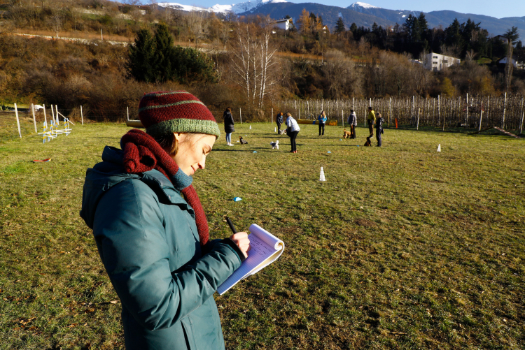 Unsere Hospitantin Marie Rachel Pichler hat das Porträt in dieser Ausgabe über die Hundetrainerin Kathrin Meraner geschrieben – wir sehen sie bei der Recherche auf der Hundewiese in Brixen.