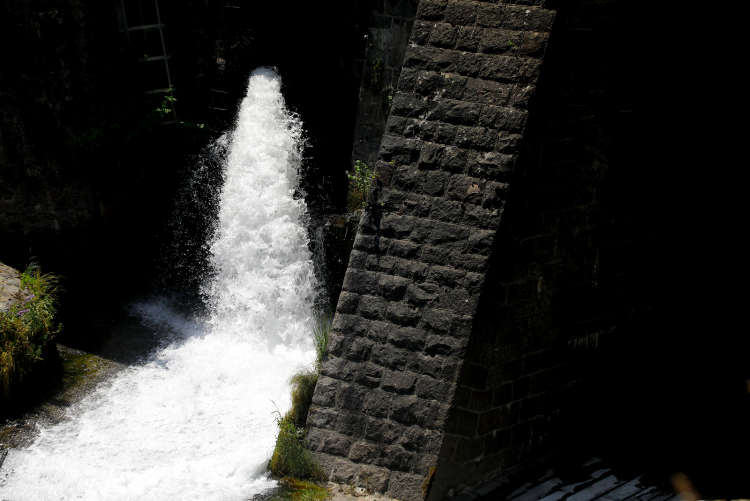 Wasser