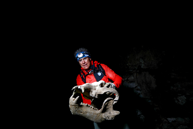 Der Schädel ist eine Replik des gefundenen Schädels des Höhlenbären.
Das Original liegt im Museum Ursus Ladinicus in St. Kassian. Sichtlich stolz hält ihn Walde hoch. Die Höhlenbären waren um einiges größer als die heutigen Braunbären, sie wogen bis zu 1,2 Tonnen und waren 2,4 bis 2,6 Meter lang.