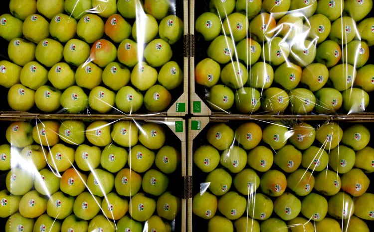 Äpfel