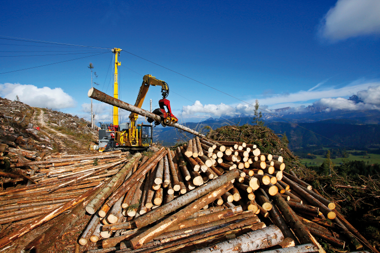 Holzverarbeitung