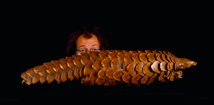 Das Vinzentinum in Brixen birgt kostbare Schätze: das Naturhistorische Kabinett. Alexander van Gerven (im Bild) und Fotograf Alexander Alber haben es für diese ff-Ausgabe neu entdeckt Vinzentinum