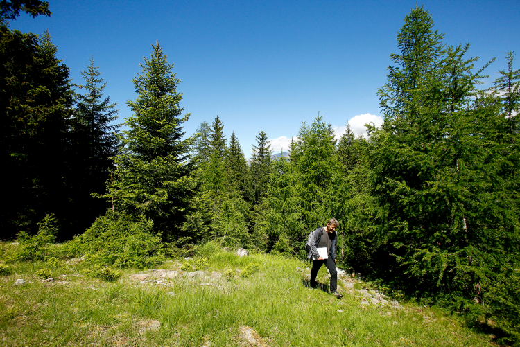 Unterwegs in den Wäldern des Mittelvinschgau: Markus Larcher ließ sich bei einem Lokalaugenschein von einem Experten erklären, mit welch großen Verbissschäden der Vinschgau zurechtkommen muss. „Die Jäger müssten mehr und selektiver schießen, aber das ist ihrer Bequemlichkeit abträglich”, sagt der Fachmann. Markus Larcher
