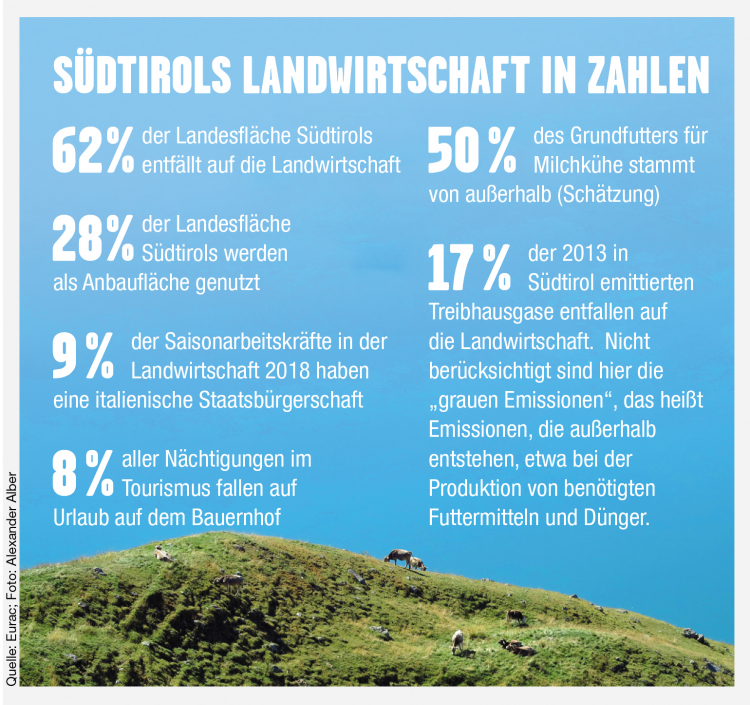 Infografik