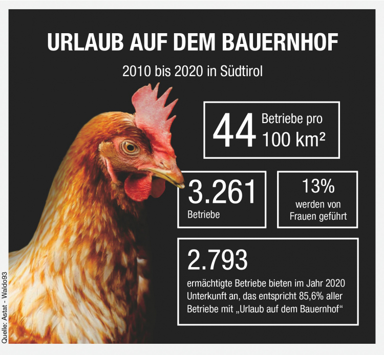 Infografik