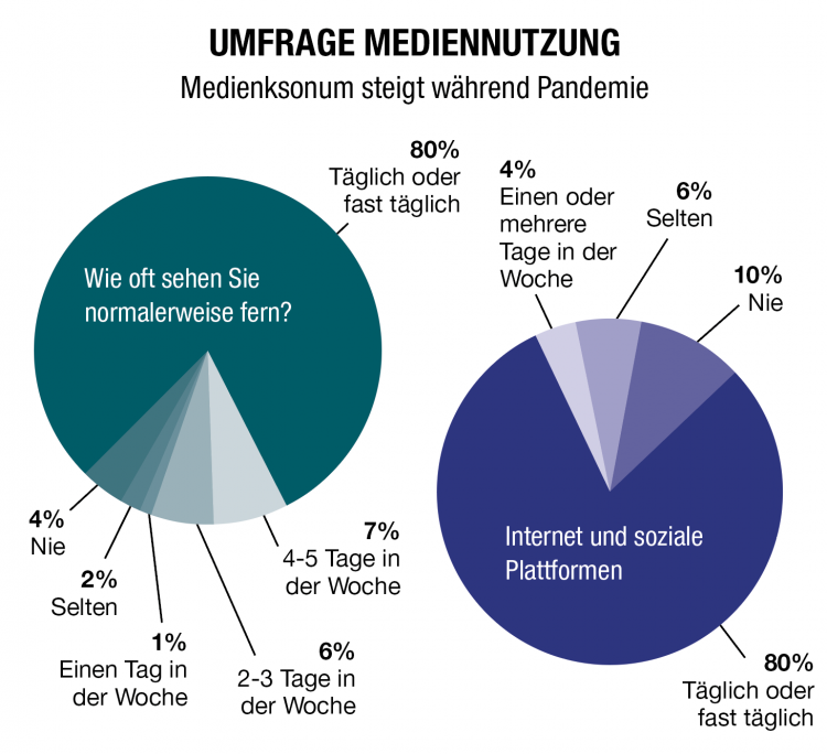 Grafik Medien Nutzung