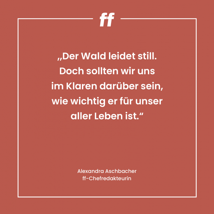 Zitat