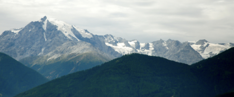 Ortler