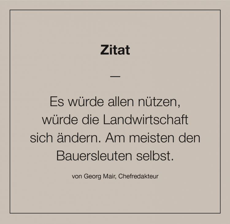 Zitat