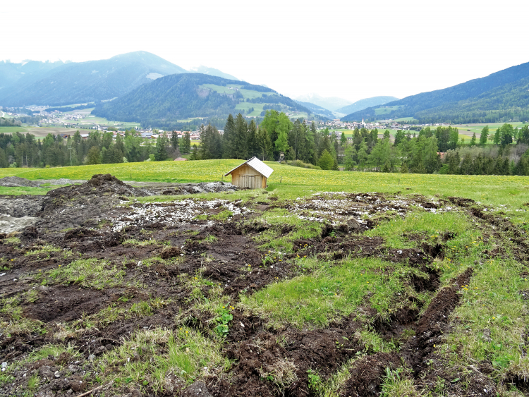 Planierungsarbeiten, Sommer 2019: Ende eines gesetzlich geschützten Quellmoors in Mitterolang. Es gibt große Zweifel, ob das Projekt überhaupt hätte genehmigt werden dürfen. Quellmoor in Mitterolang
