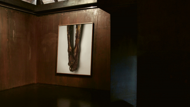 Ötzi Fotokunst