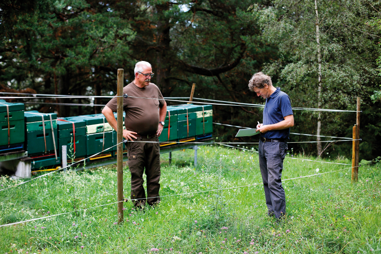 Bei den Bienen: Markus Larcher im Gespräch mit Engelbert Pohl, dem Obmann des Südtiroler Imkerbundes, hoch über Kastelbell: „Ohne uns überleben die Bienen nicht.“ Markus Larcher und Engelbert Pohl