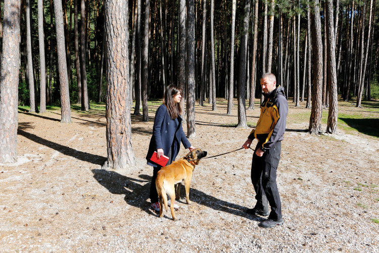 Der Retter von Rigopiano: ff-Hospitantin Elisabeth Pörnbacher beschreibt im Porträt den schweren Job von Patrizio Rugora und seinem Hund Gico. Elisabeth Pörnbacher, Gico und Patrizio Rugora