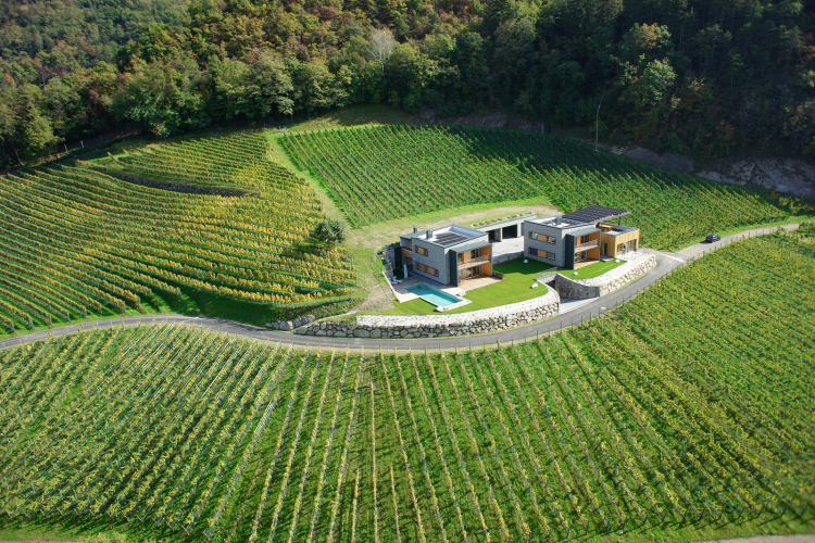 Weingut Eichenstein