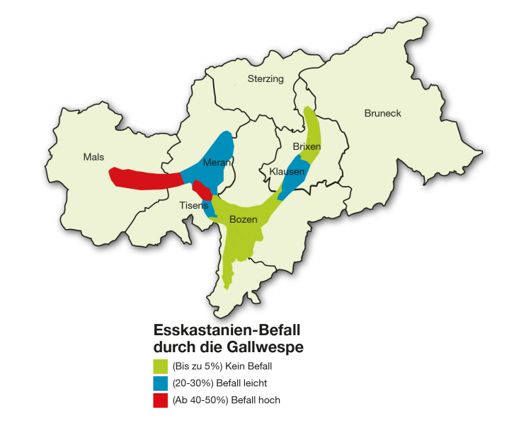 Infografik