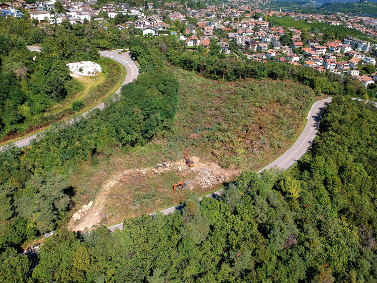 Waldstück