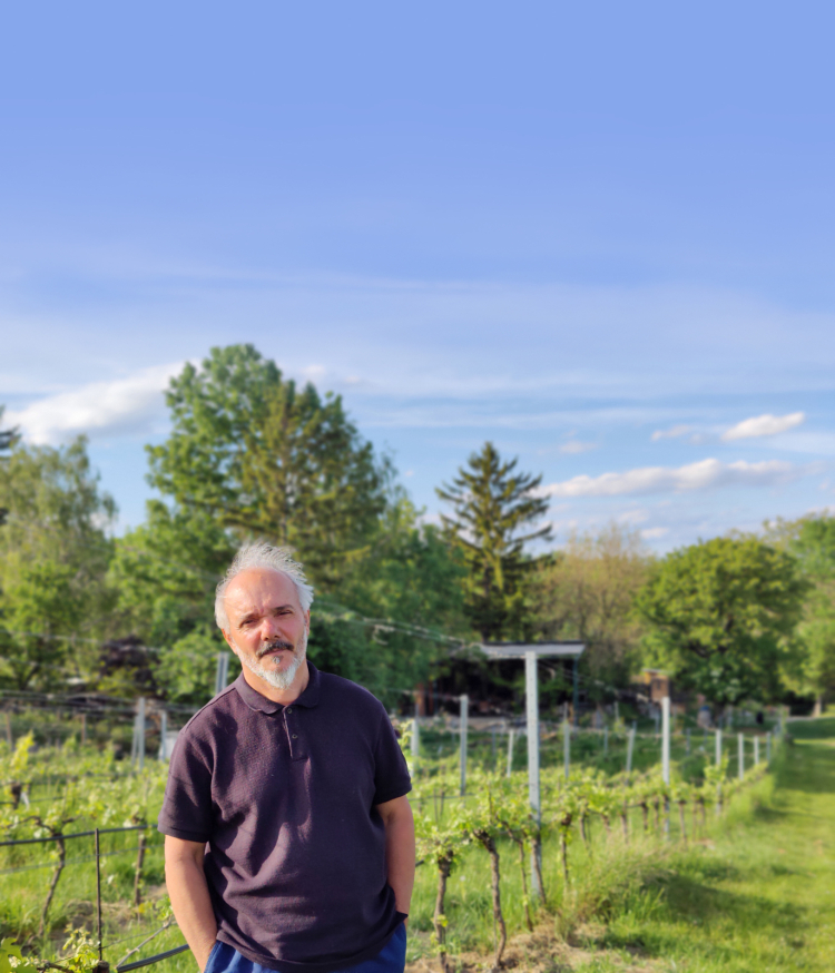 Martin Strobl hat es von Lana nach Wien getrieben: Dort ist er einer von
400 Winzern, die in der Stadt Wein machen. Martin Strobl