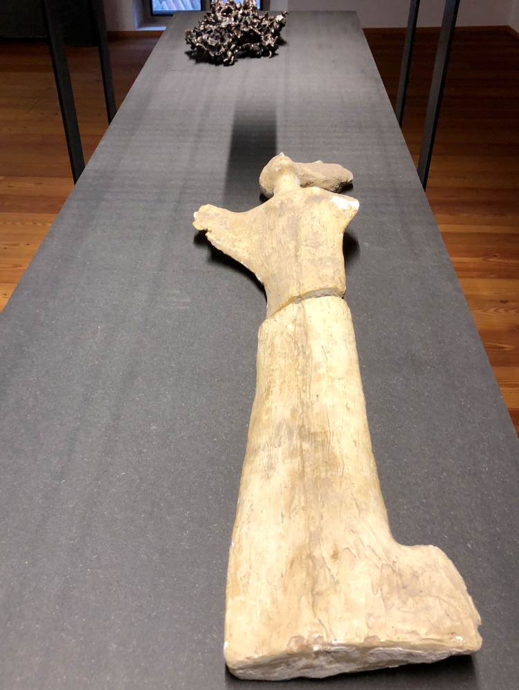 Ausstellung