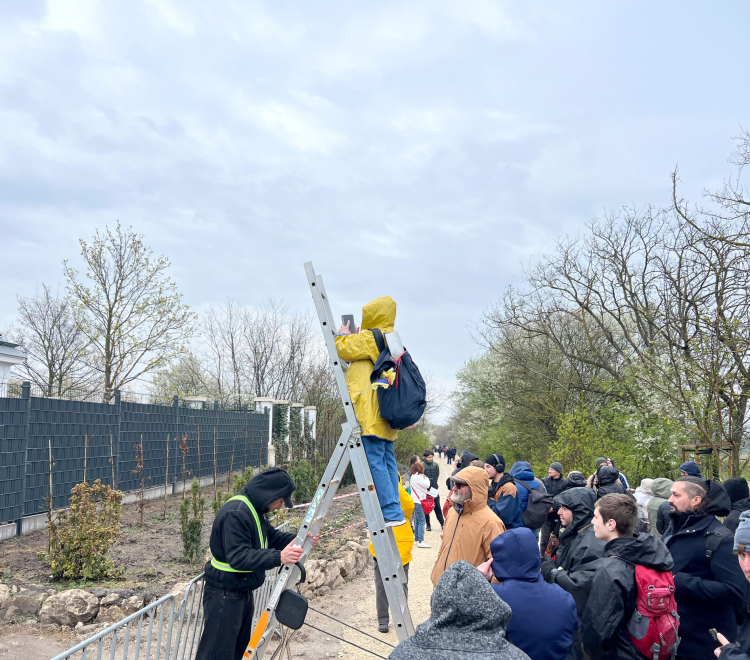 Blick auf die Monumente der Korruption: Er gelingt manchmal mithilfe einer mitgebrachten Leiter.