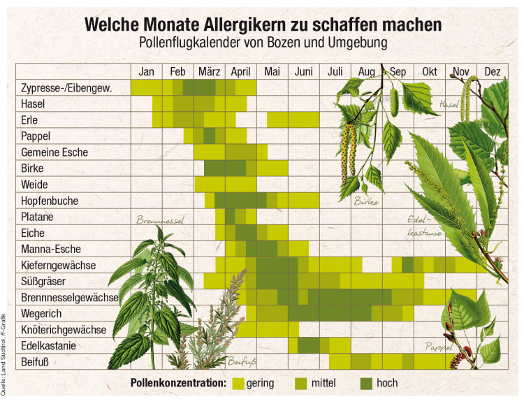 Infografik