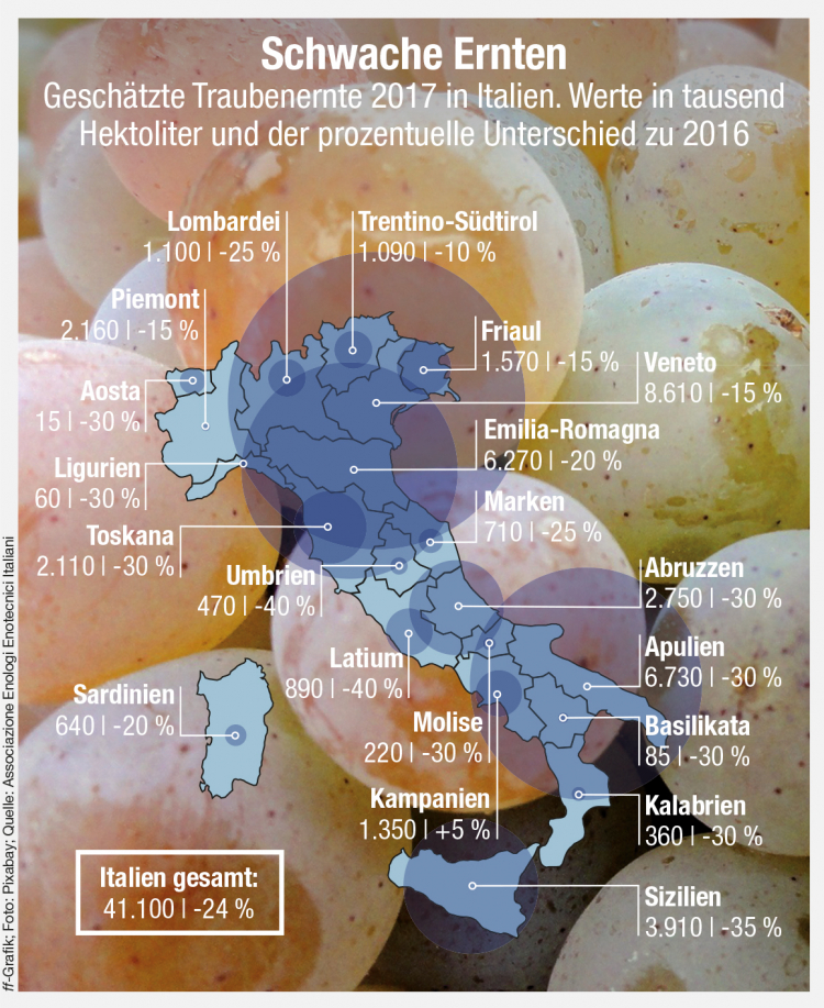 Infografik Traubenernte