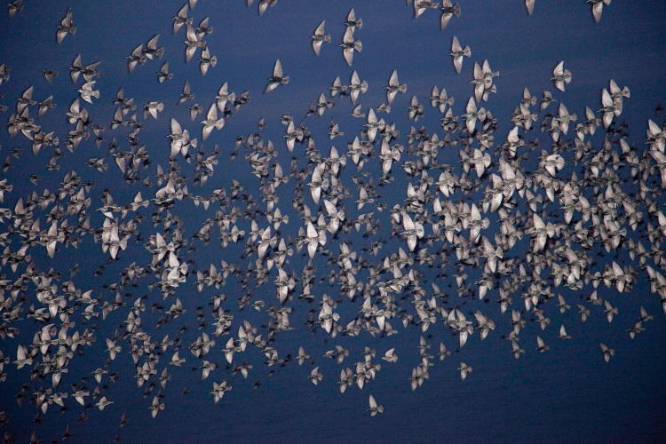 Foto von Rinko Kawauchi