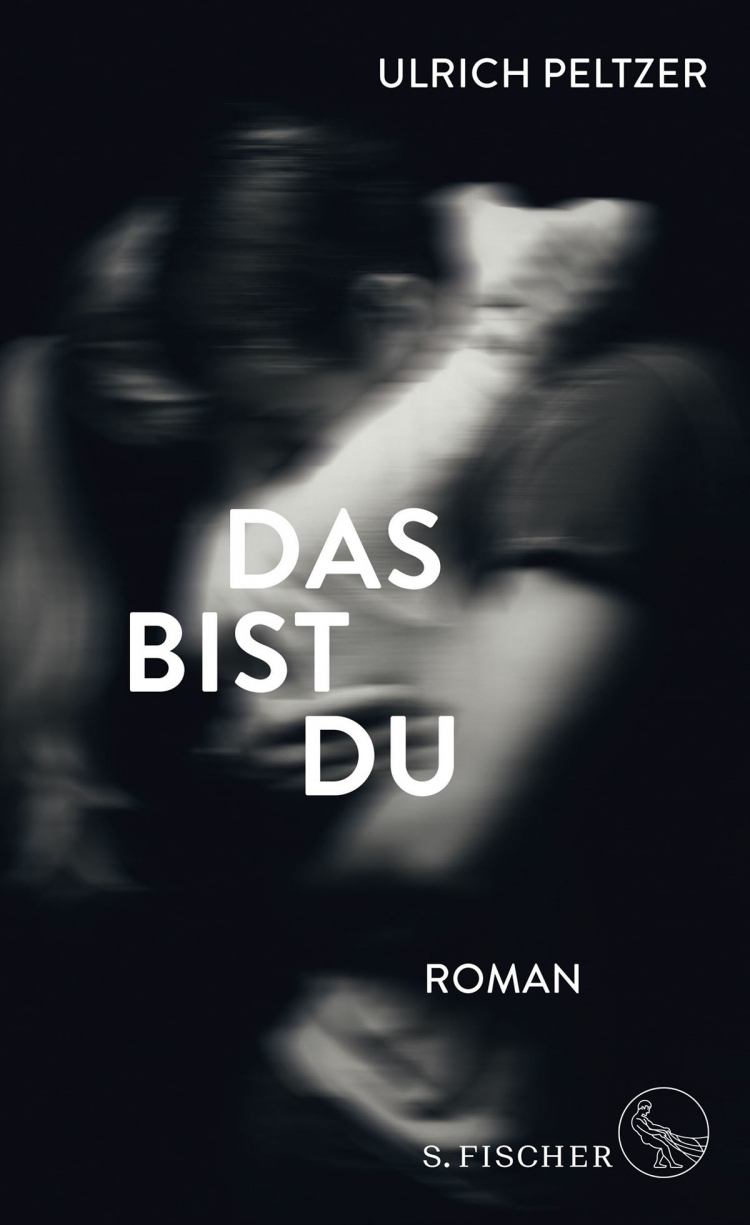 Ulrich Peltzers Collage-Roman.