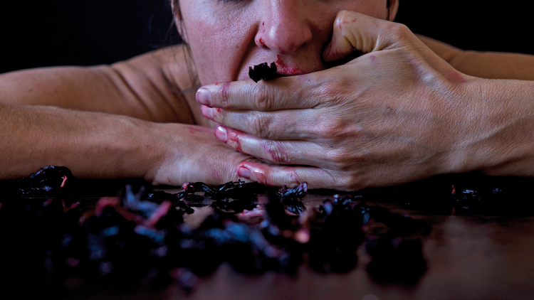 Werk von Karin Schmuck