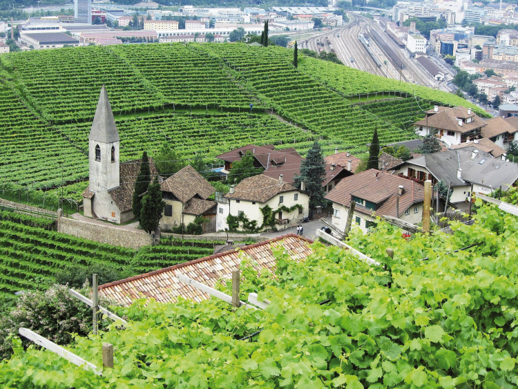 St. Magdalena