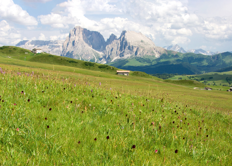 Seiser Alm