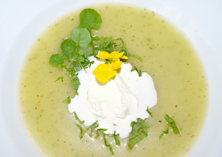 Wiesenschaumkraut-Süppchen