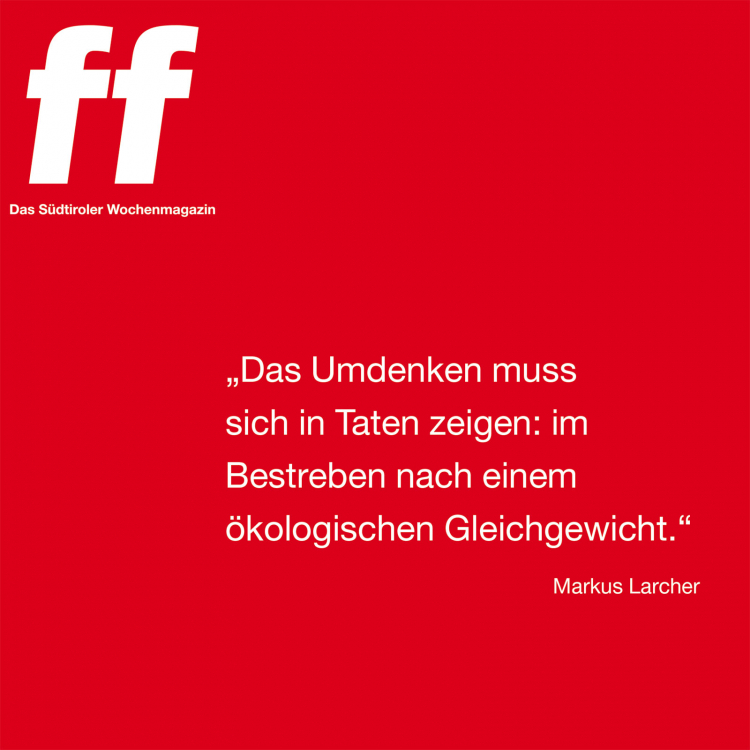 Zitat