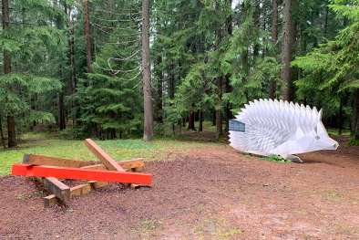 Wald-Wild-Wunder-Weg am Ritten