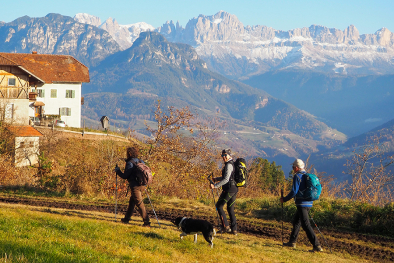 Rundwanderung durch die Rittner Weinberge