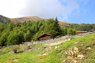 Weg zur Reschner Alm