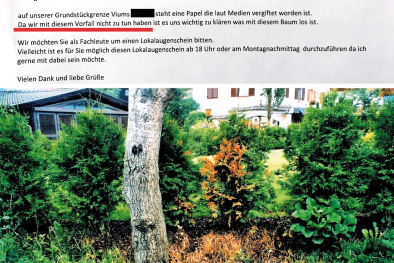 Anfrage
