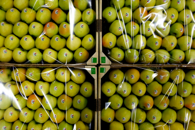 Äpfel
