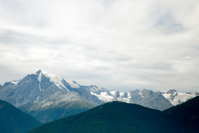 Ortler