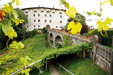 Schloss Katzenzungen 