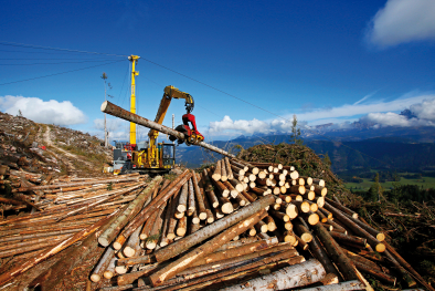 Holzverarbeitung