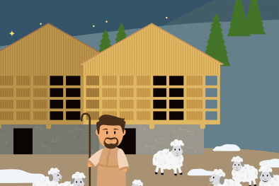 Illustration Alfreider und Schafe