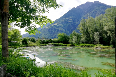 Weiher