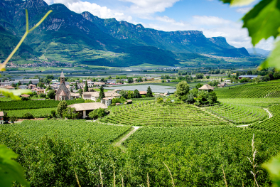 Weingut Baron Longo 