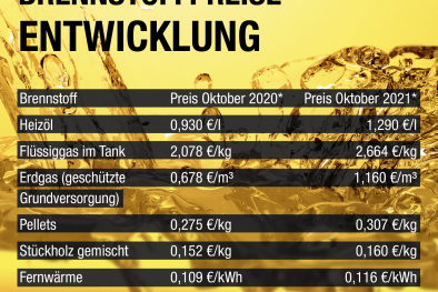 Brennstoffpreise Entwicklung