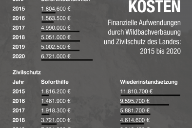 Grafik Wildbachverbauung